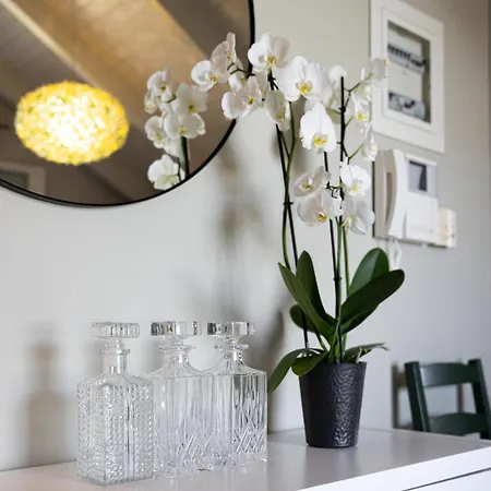 Domus أرغوستولي