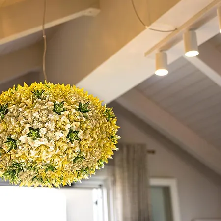 Διαμέρισμα Domus *